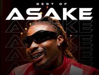 MIXTAPE: DJ Selex – Best of Asake Mixtape