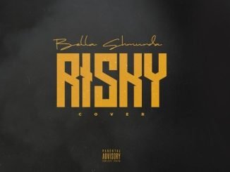DOWNLOAD MP3: Bella Shmurda Ft. Davido – Risky (Cover)