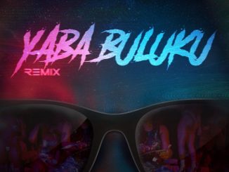 DOWNLOAD MP3: DJ Tarico & Burna Boy – Yaba Buluku (Remix) Ft. Preck, Nelson Tivane
