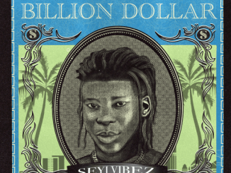 Seyi Vibez – Billion Dollar (Time Dey Go)
