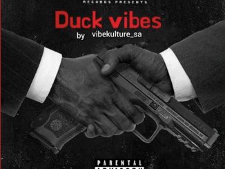 Vibekulture SA – Duck Vibes