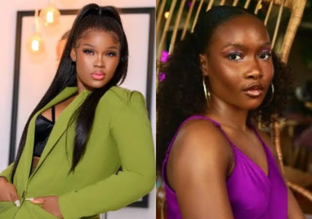 #BBNaijaAllStars: See the list of housemates up for eviction this week, including Whitemoney, Mercy Eke, Ilebaye, Others